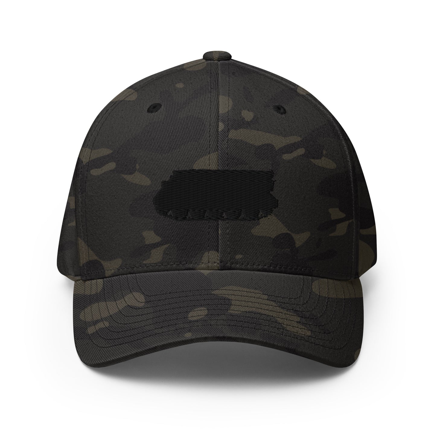 M113-cappen