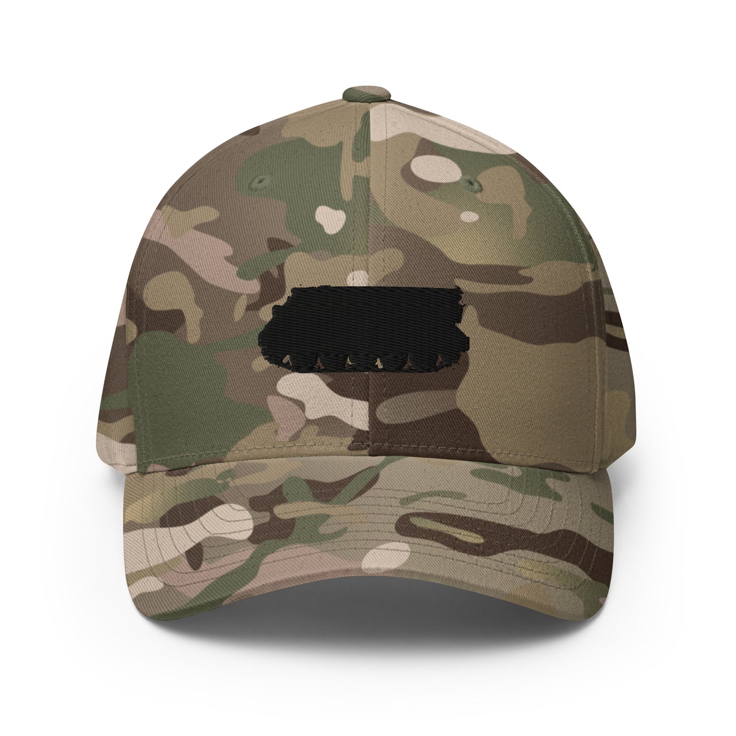 M113-cappen