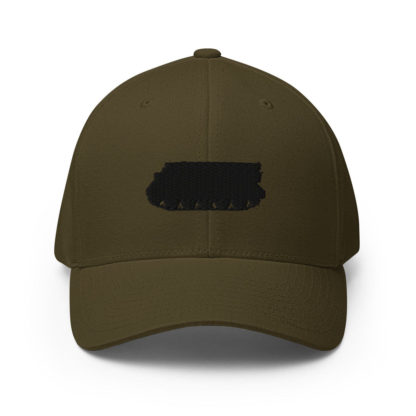 M113-cappen